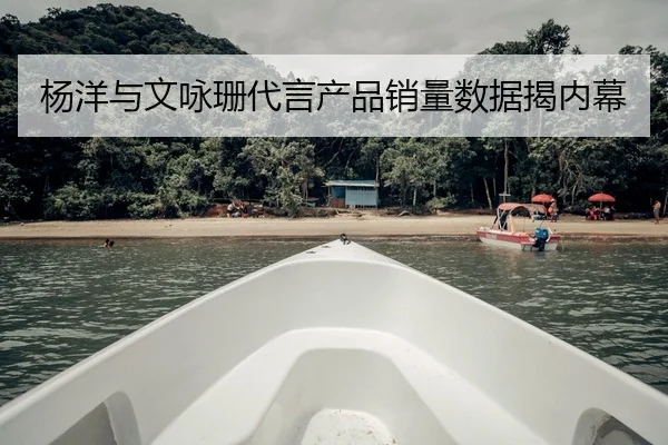 杨洋与文咏珊代言产品销量数据揭内幕